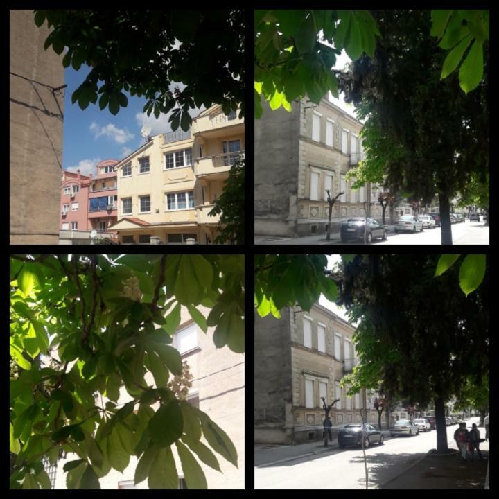 Apartment Voortex Τρέμπινιε Εξωτερικό φωτογραφία