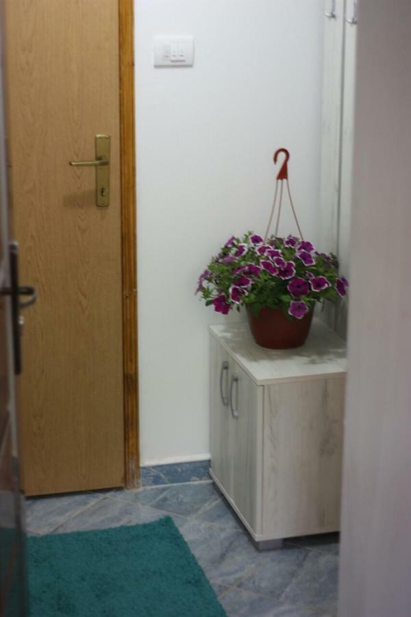 Apartment Voortex Τρέμπινιε Εξωτερικό φωτογραφία