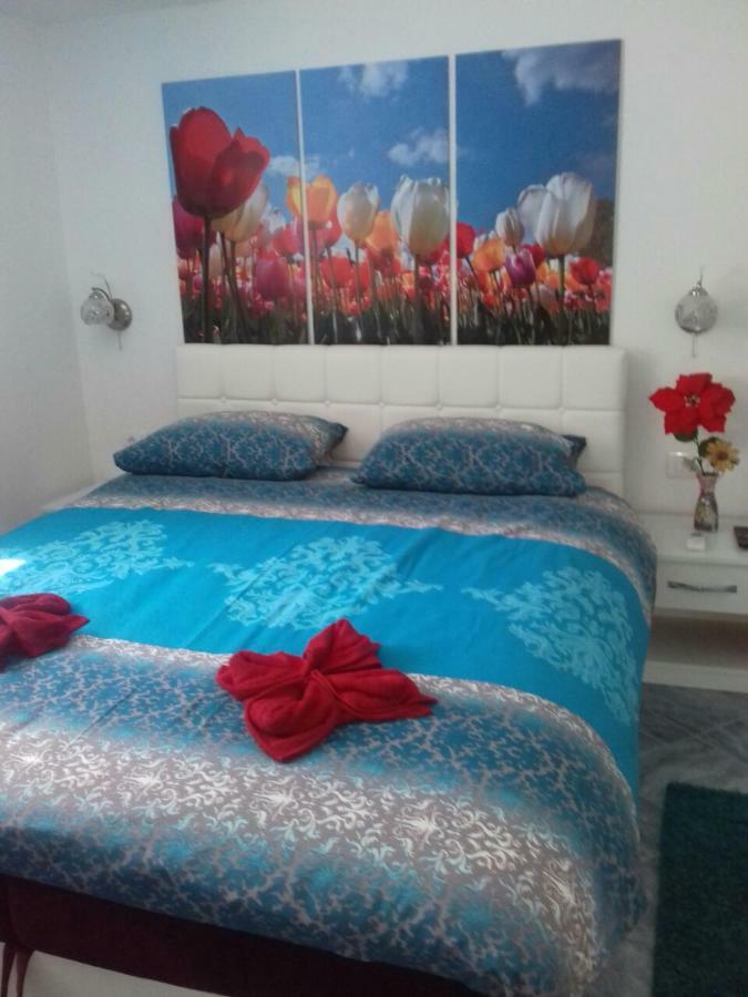 Apartment Voortex Τρέμπινιε Εξωτερικό φωτογραφία