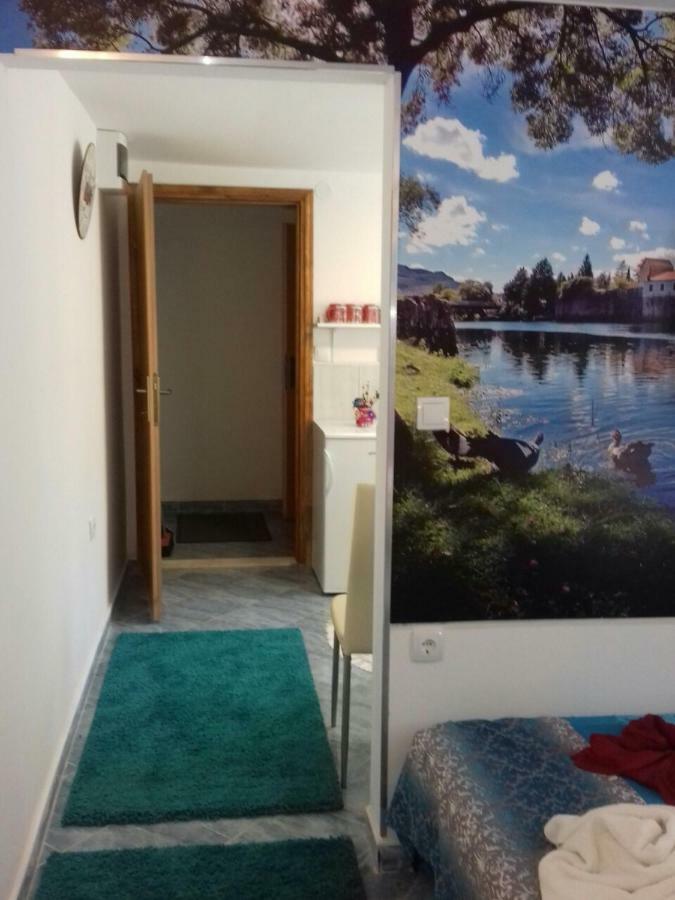 Apartment Voortex Τρέμπινιε Εξωτερικό φωτογραφία