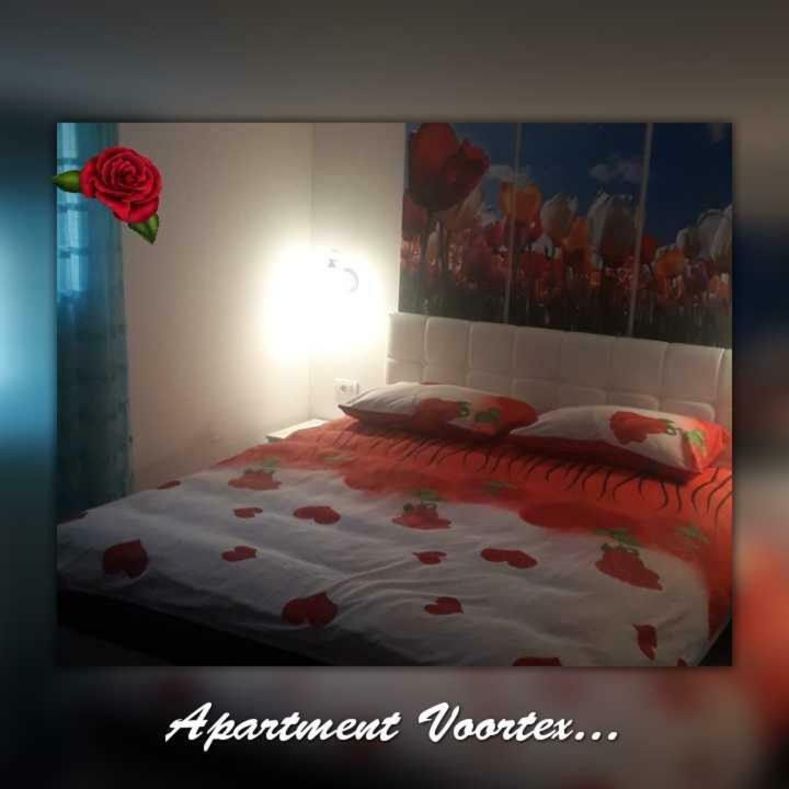 Apartment Voortex Τρέμπινιε Εξωτερικό φωτογραφία