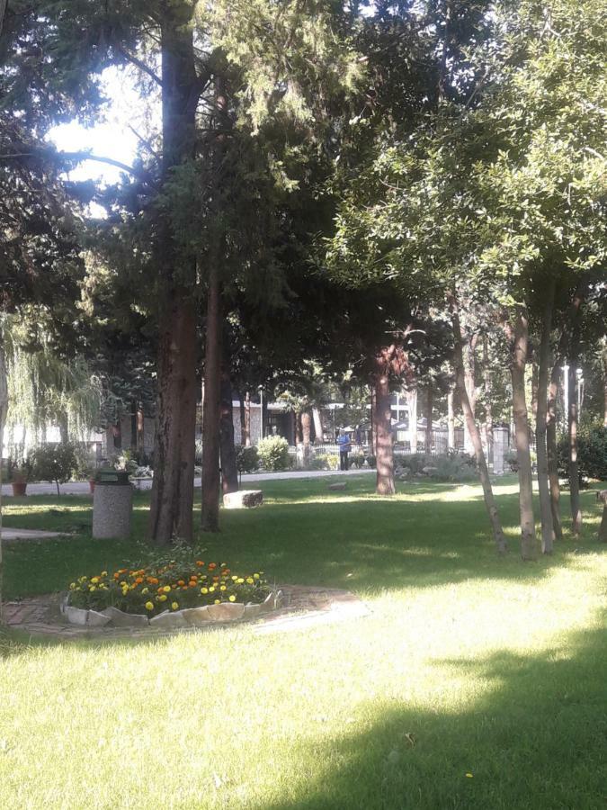 Apartment Voortex Τρέμπινιε Εξωτερικό φωτογραφία