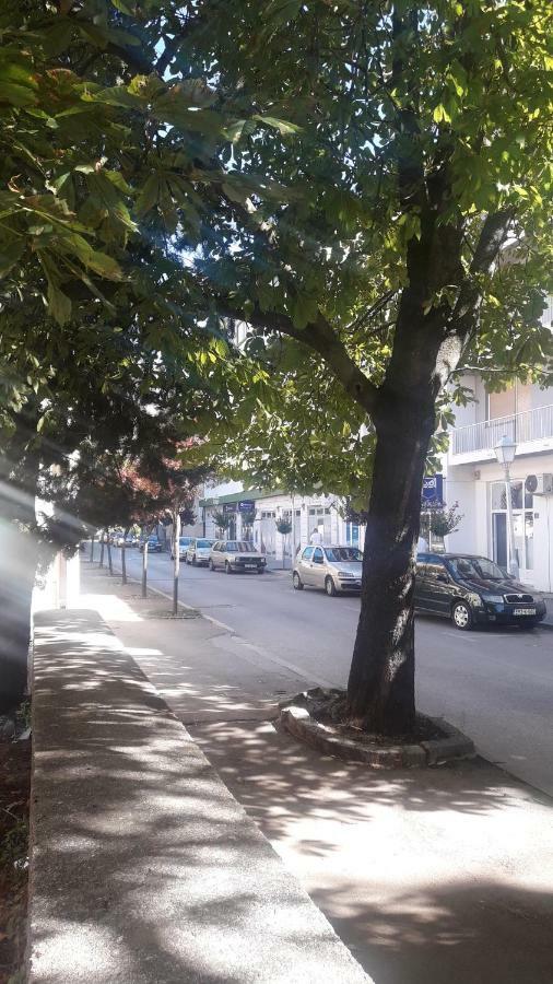 Apartment Voortex Τρέμπινιε Εξωτερικό φωτογραφία